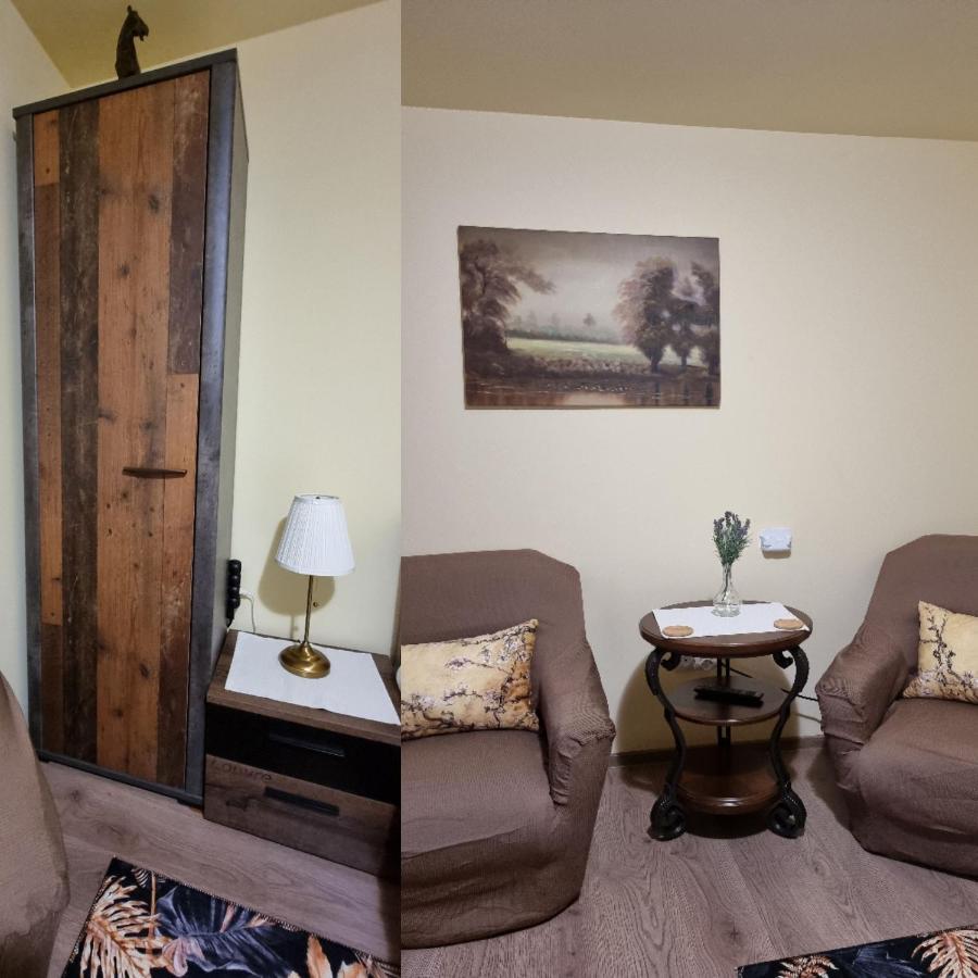 Roca House Villa Braşov Eksteriør bilde