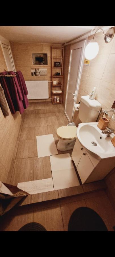 Roca House Villa Braşov Eksteriør bilde