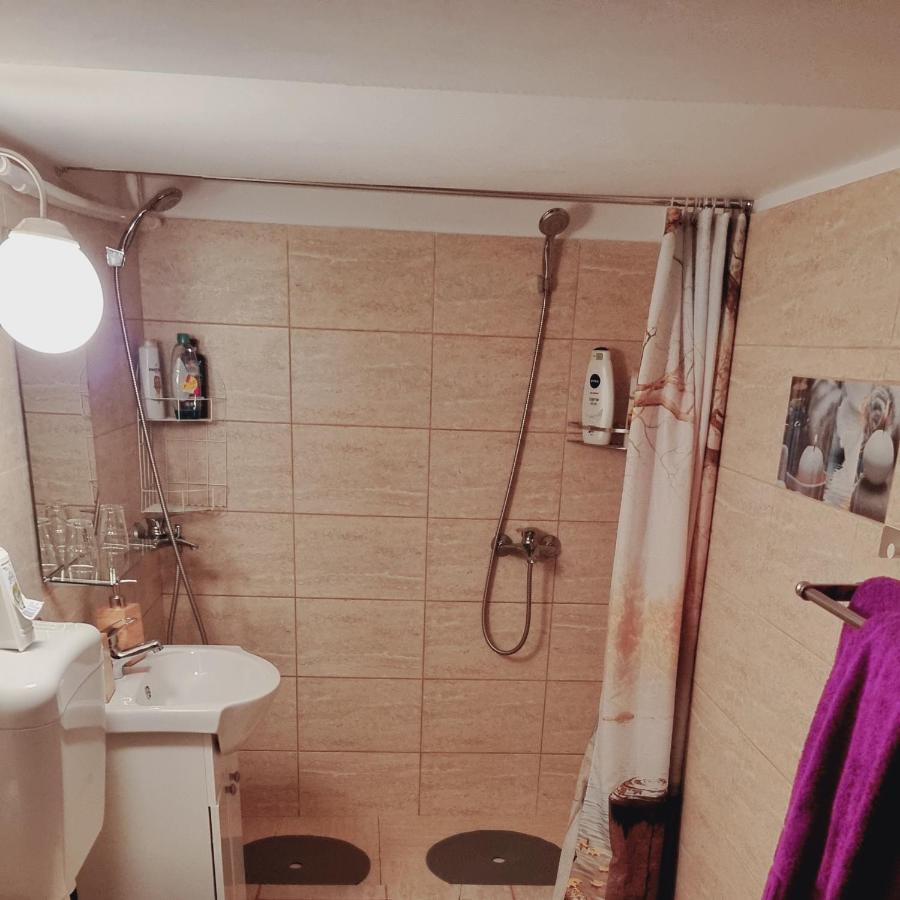 Roca House Villa Braşov Eksteriør bilde