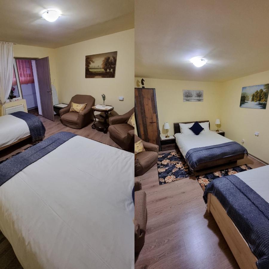 Roca House Villa Braşov Eksteriør bilde