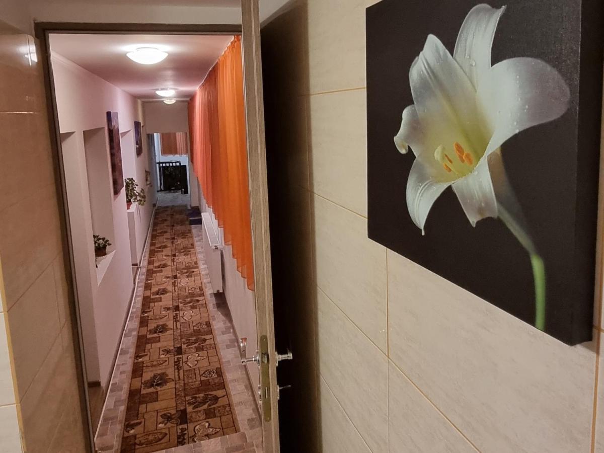 Roca House Villa Braşov Eksteriør bilde