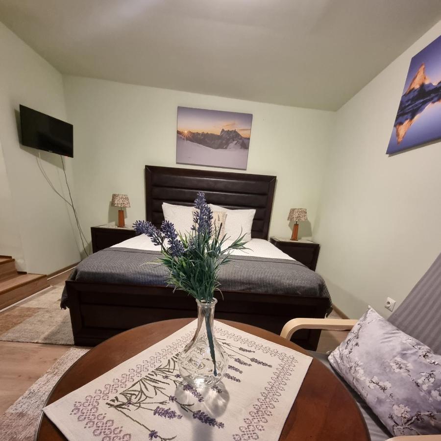 Roca House Villa Braşov Eksteriør bilde