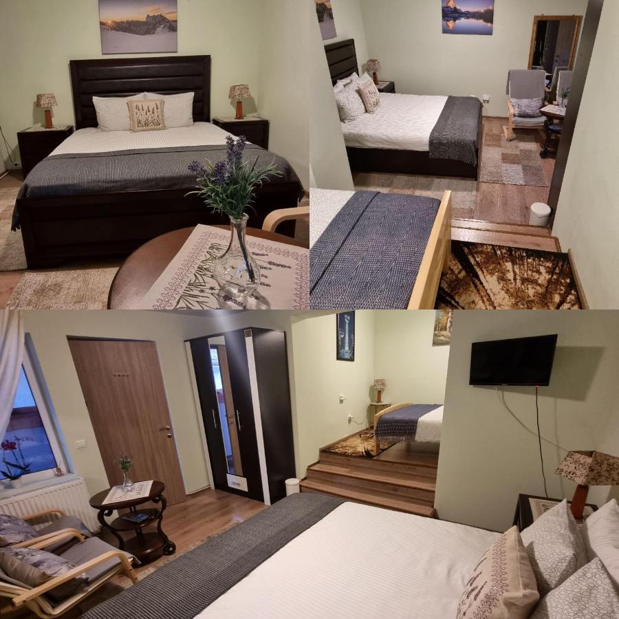 Roca House Villa Braşov Eksteriør bilde