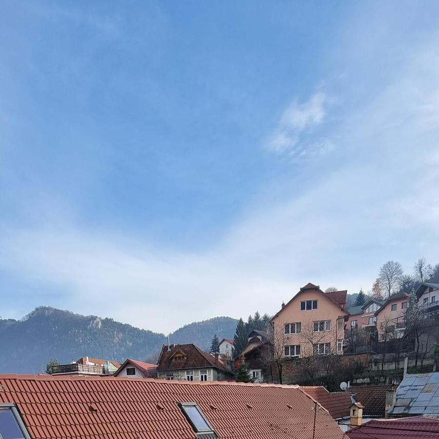 Roca House Villa Braşov Eksteriør bilde
